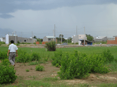 TP. Vũng Tàu: Không có mặt bằng, hàng loạt dự án rơi vào bế tắc